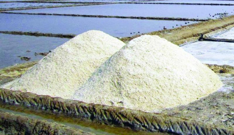 Withdrawal ban from Salt Import